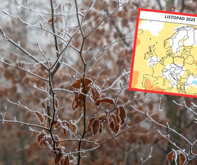 Taka pogoda zapowiada się w listopadzie. Są prognozy