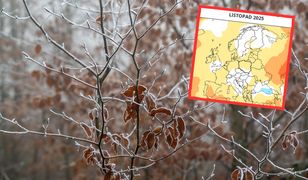 Taka pogoda zapowiada się w listopadzie. Są prognozy