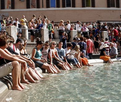 Szczury opanowały miasto. To wakacyjny kierunek wielu Polaków