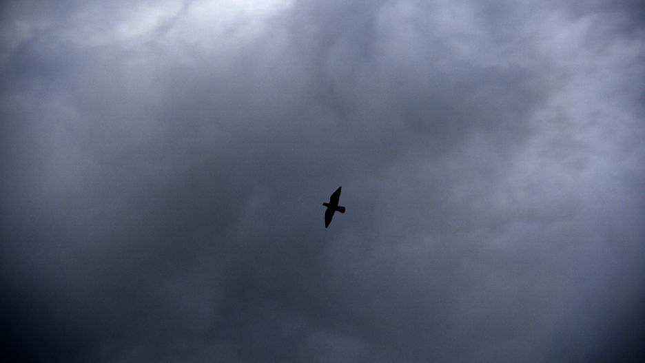 Wrocław. Pogoda. 7 października 2020 - chłodno i deszczowo. Kilka nieciekawych dni przed nami