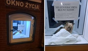 Siostry zakonne były w szoku. Znalazły go w oknie życia