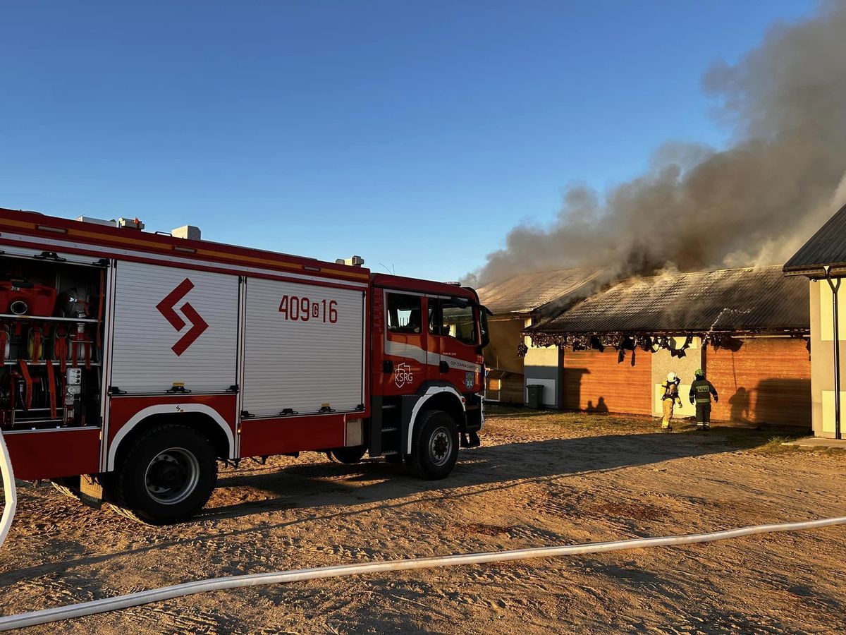 Tragedia na Pomorzu. Makabryczne odkrycie strażaków