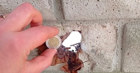 Mazowieckie. Żabia Wola na linii ognia. Sąsiad strzela, pan Bóg kule nosi