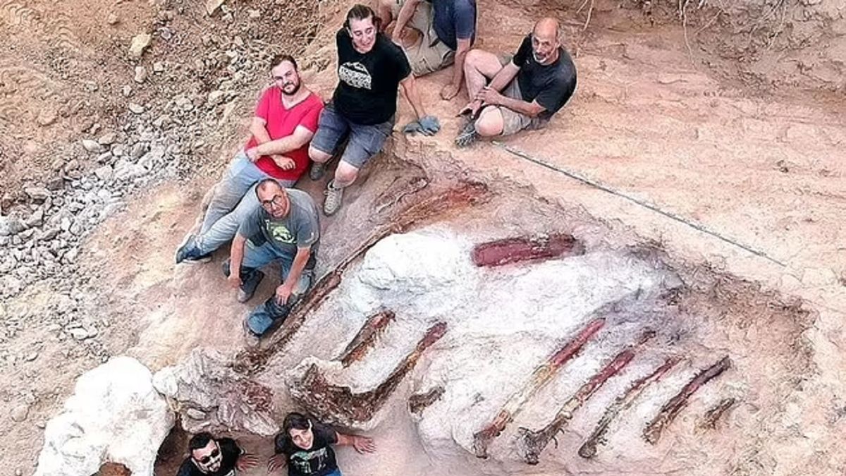 Znaleziony szkielet dinozaura