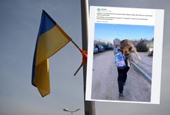 Z psem uciekała przed wojną. Niosła pupila przez 17 km