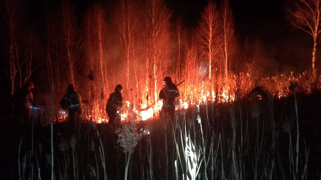 Pożar Biebrzańskiego Parku Narodowego. Spłonęło już 6 tys. hektarów lasów i łąk