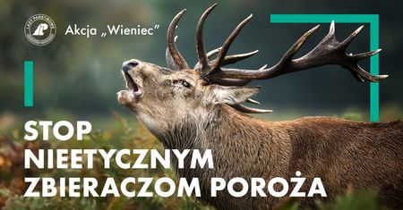 Stop nieetycznym zbieraczom poroża