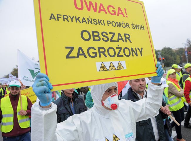 Protest pracowników inspekcji weterynaryjnej w Warszawie
