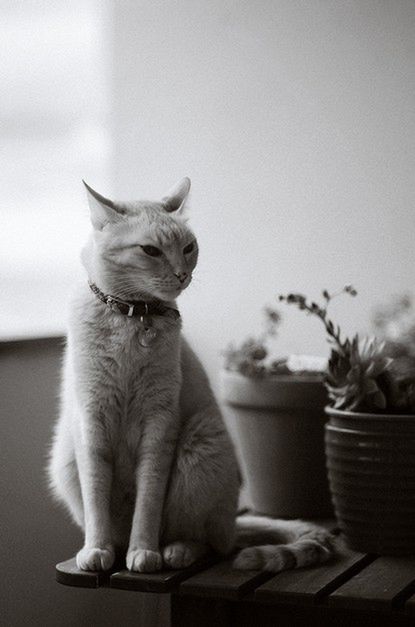50 fotografii wykonanych klasycznym obiektywem 50 mm 28