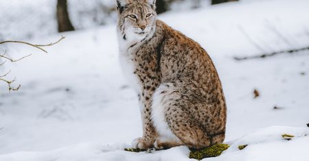 Wróciły po wielu latach. Zdjęcie mówi wszystko