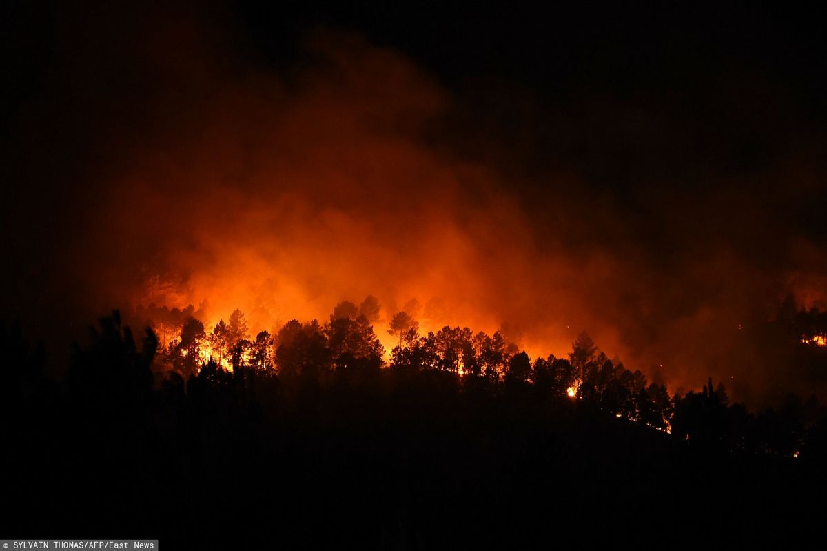 Wielki pożar w departamencie Gard