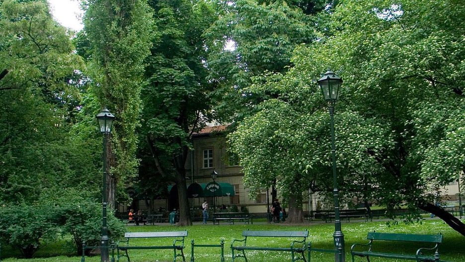 Planty Kraków/ ilustracja