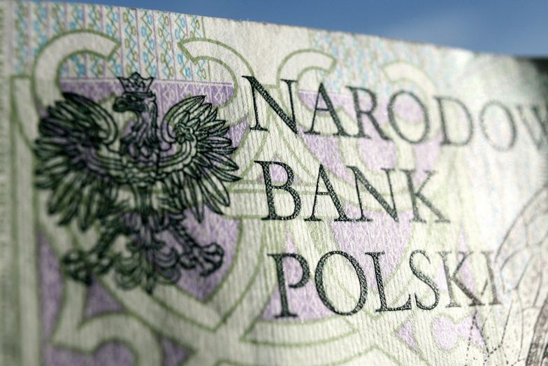 Rezerwy walutowe Polski w sierpniu - w euro mniej, a dolarach więcej niż w lipcu