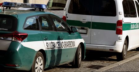 Podwyżka o 100 proc. Część opłat za czynności celników ma wzrosnąć