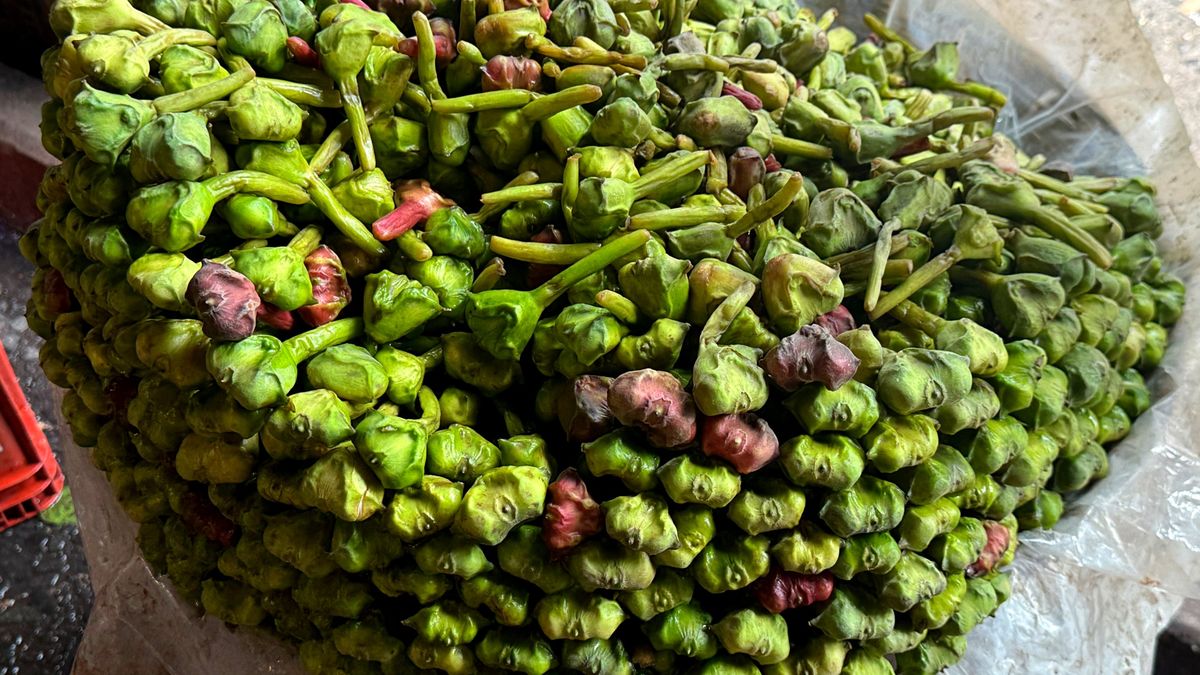 Kasztany wodne to lekki, chrupiący składnik o delikatnym smaku i wielu zaletach.