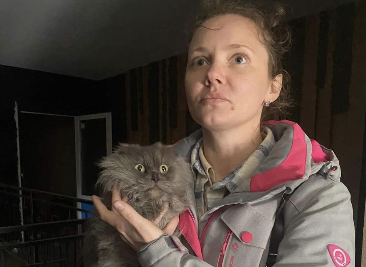 Mieszkanka Buczy odnalazła kota po 45 dniach
