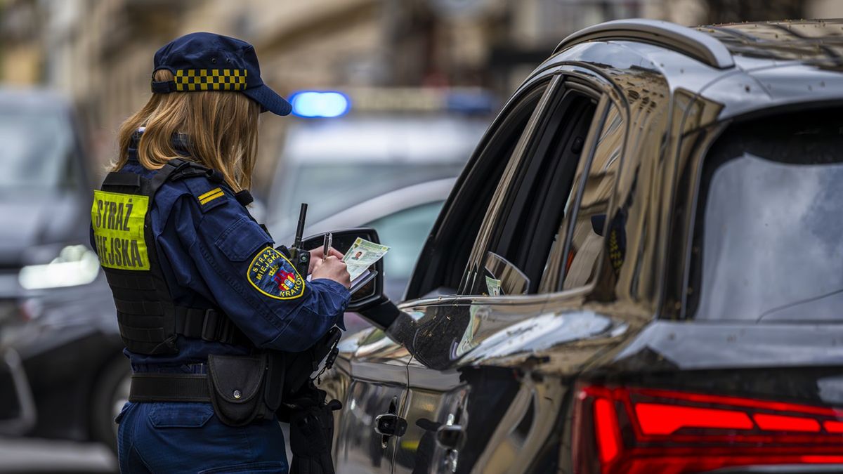 Szukają aplikanta w Straż Miejskiej w Krakowie.