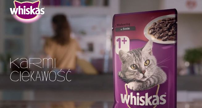 Whiskas reklamowany „dla najbardziej ciekawskich” (wideo)