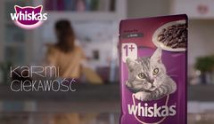 Whiskas reklamowany „dla najbardziej ciekawskich” (wideo)