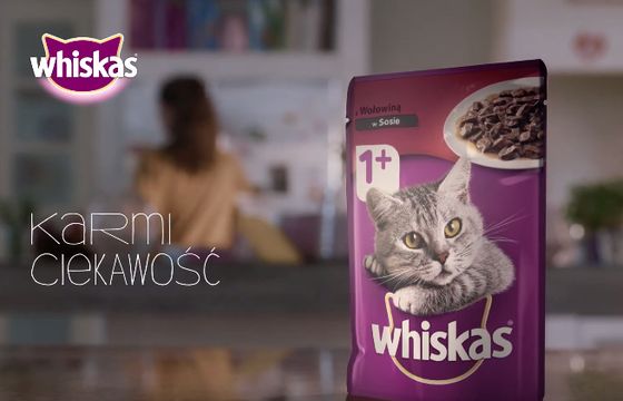 Whiskas reklamowany „dla najbardziej ciekawskich” (wideo)