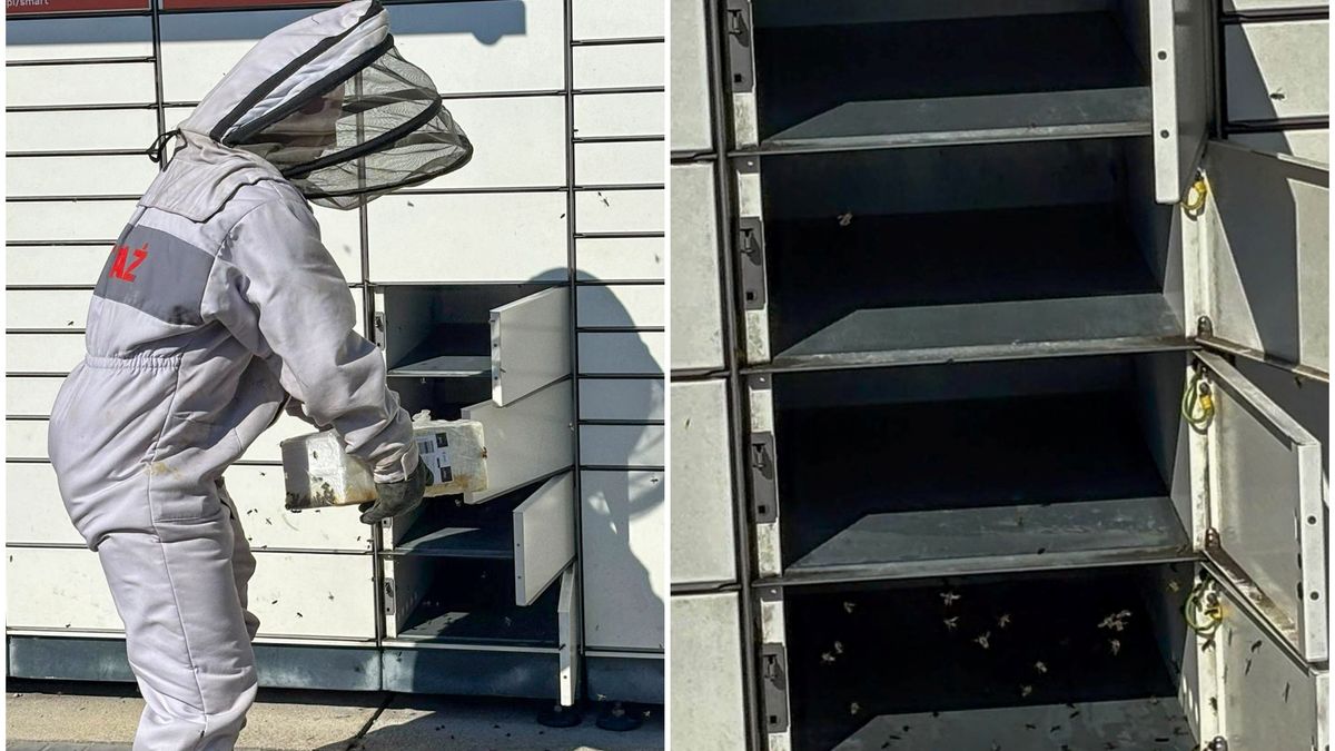 Niecodzienna interwencja strażaków.