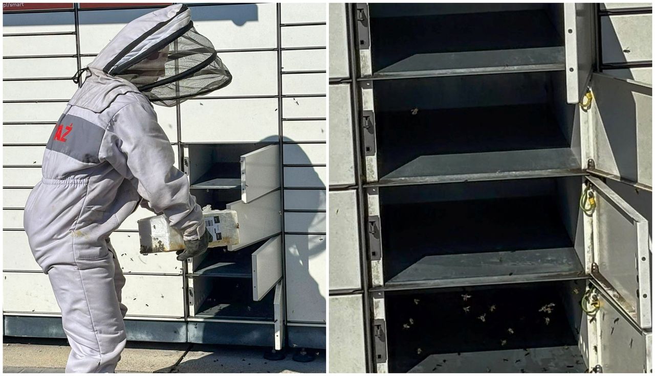 Akcja przy paczkomacie. Interweniowali strażacy