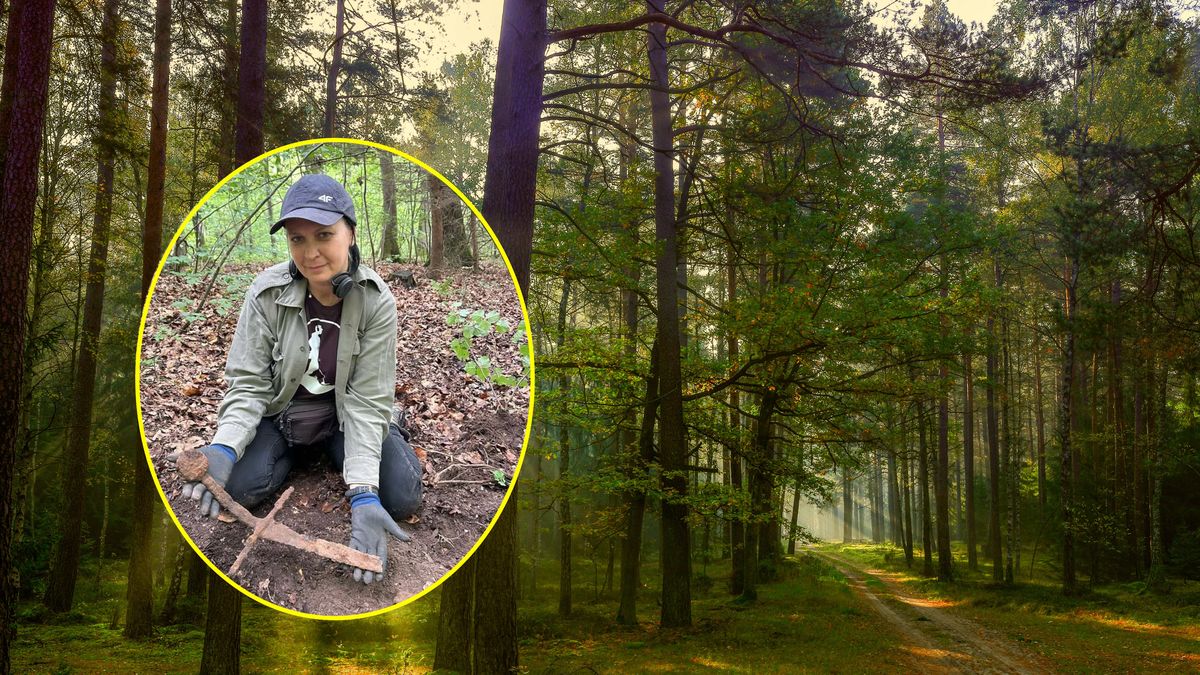 Badaczka znalazła miecz w lesie koło Iławy 