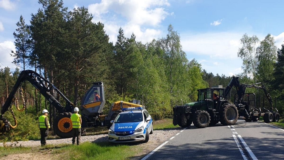 Zdjęcie ilustracyjne.