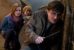 [recenzja]: ''Harry Potter i Insygnia Śmierci'' - Koniec historii