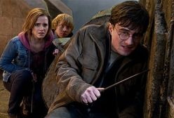 [recenzja]: ''Harry Potter i Insygnia Śmierci'' - Koniec historii