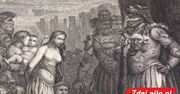 Nowe eksponaty w Muzeum Staszica