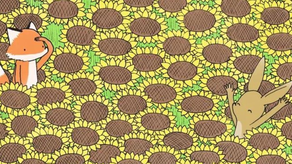 Wśród słoneczników ukryty jest motyl. Wytęż wzrok i spróbuj go znaleźć