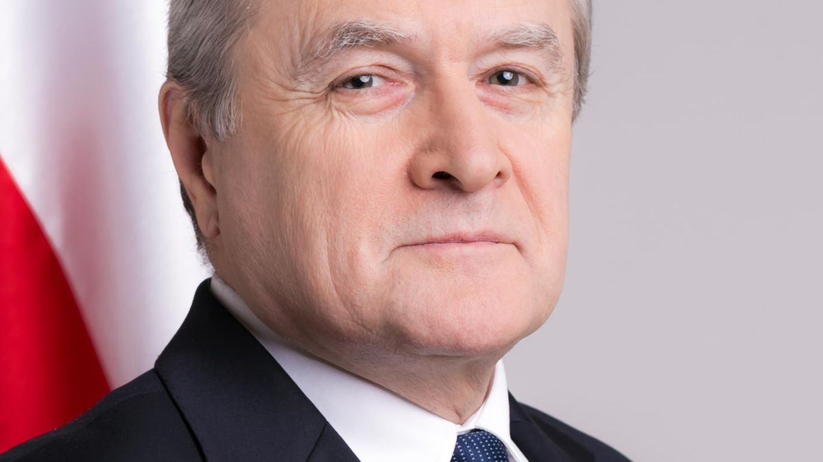 Piotr Gliński, minister kultury