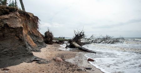 Bałtyk podmył klif w Orzechowie. "Bardzo duże straty"