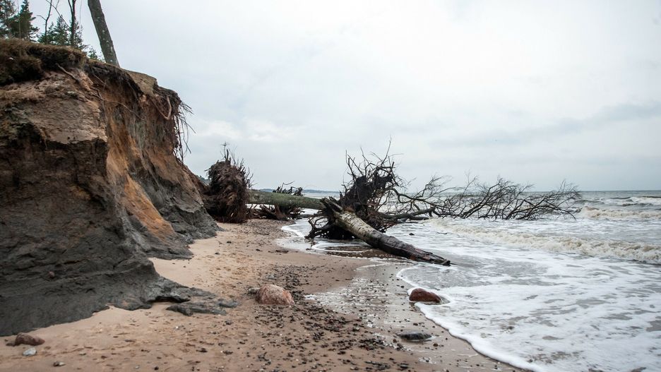 Sztorm zniszczy? pla?? w Orzechowie Morskim16.01.2022 Orzechowo Morskie kolo Ustki Sztorm zniszczyl plaze i nadmorska wydme   fot. Hubert Bierndgarski/REPORTERHubert Bierndgarski/REPORTER