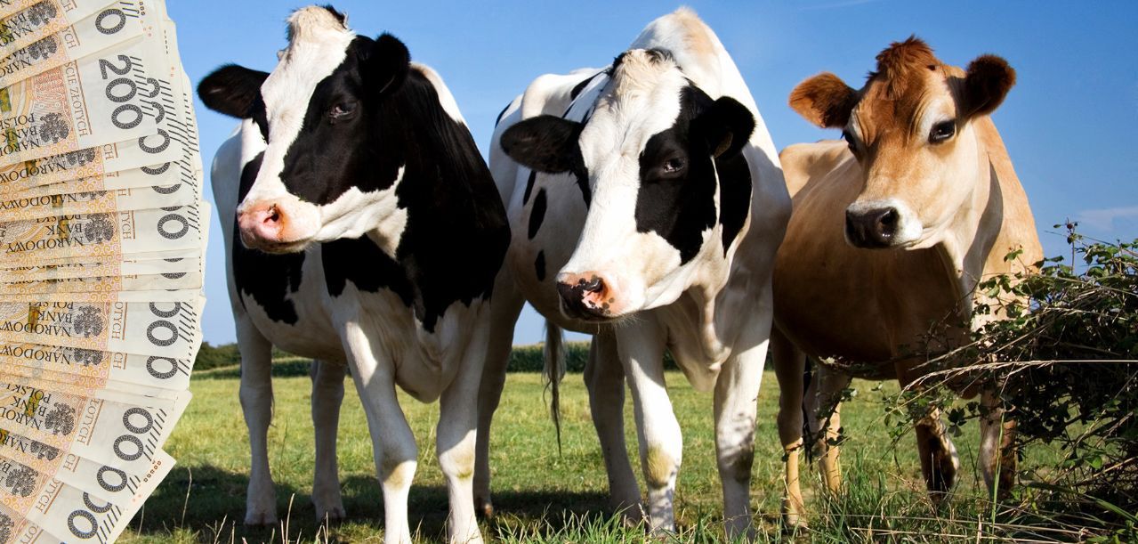 Stawki za ,,Dobrostan zwierząt" 2025: dopłaty wyższe o 21%?