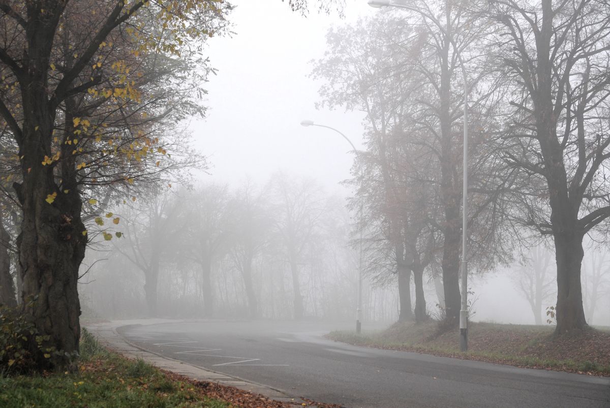 Pogoda. Na zachodzie i południu Polski widzialność ograniczają gęste mgły poniżej stu metrów (sko) PAP/Darek Delmanowicz