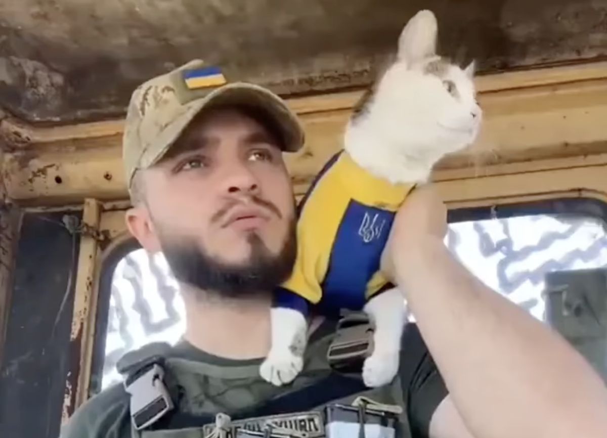 Aleksander opiekuje się Szajbą - kotem, który ochotniczo wstąpił w szeregi ukraińskiej armii