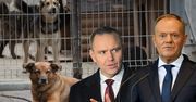 Nawrocki wetuje ustawę ws. psów. Dosadny komentarz Tuska