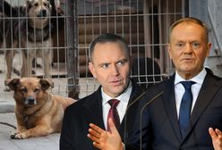 Nawrocki wetuje ustawę ws. psów. Dosadny komentarz Tuska