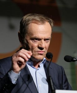 Dziennikarz zapytał o wpis Tuska. Budka dolał oliwy do ognia