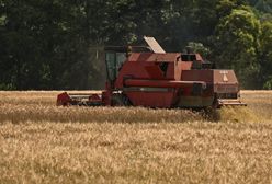 Żniwa z konfliktem. Dzwonią na policję, zajeżdżają drogę