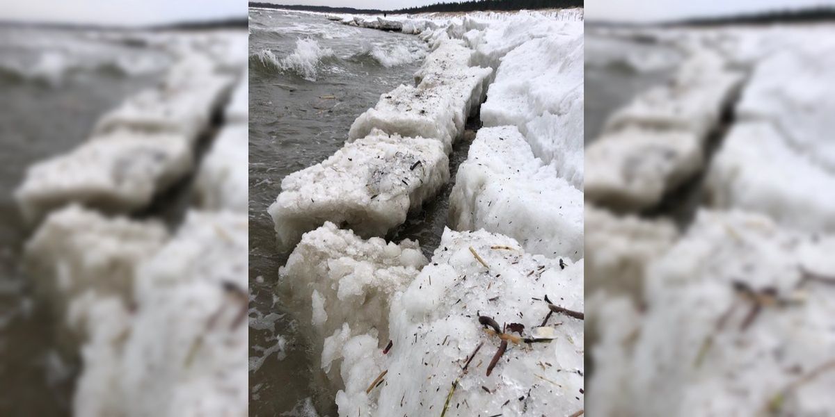 Wyspa Sobieszewska. Widok na plaży zapiera dech