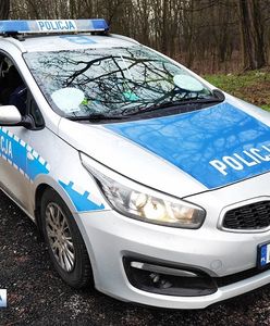 Legnica. Wiosna nadeszła, motocykle i quady w lasach. Policja będzie karać