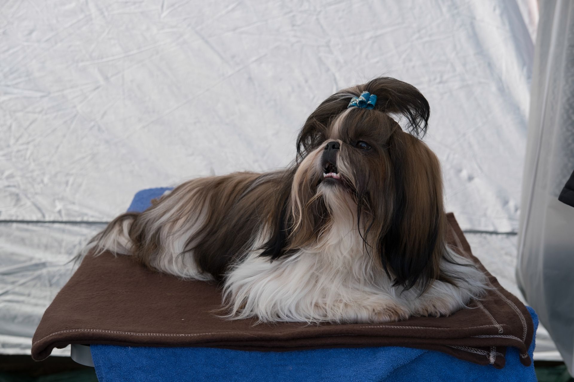 Fujifilm X-T2 - test bezlusterkowego profesjonalisty 134