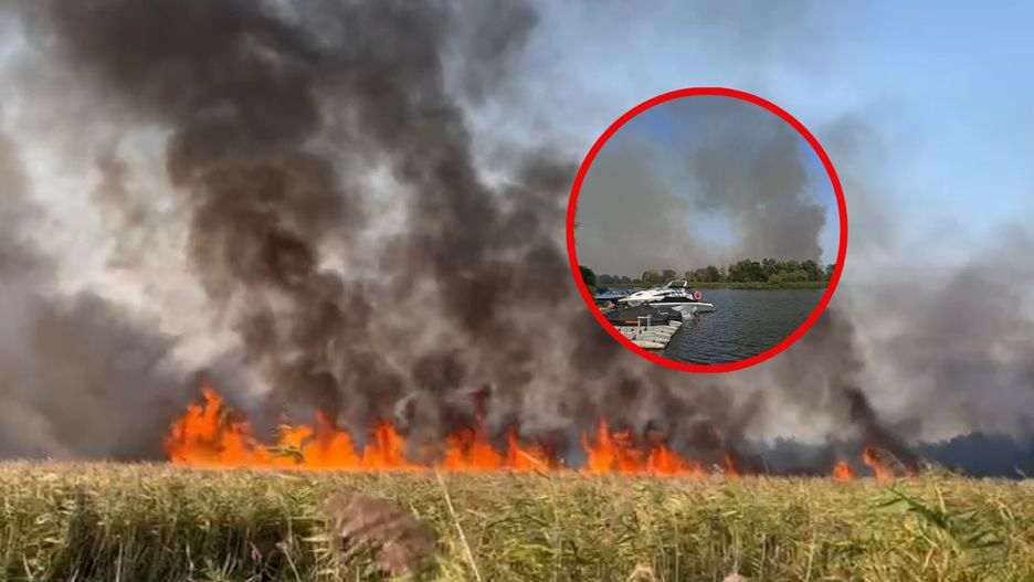 Jeden z wcześniejszych pożarów trzcinowisk