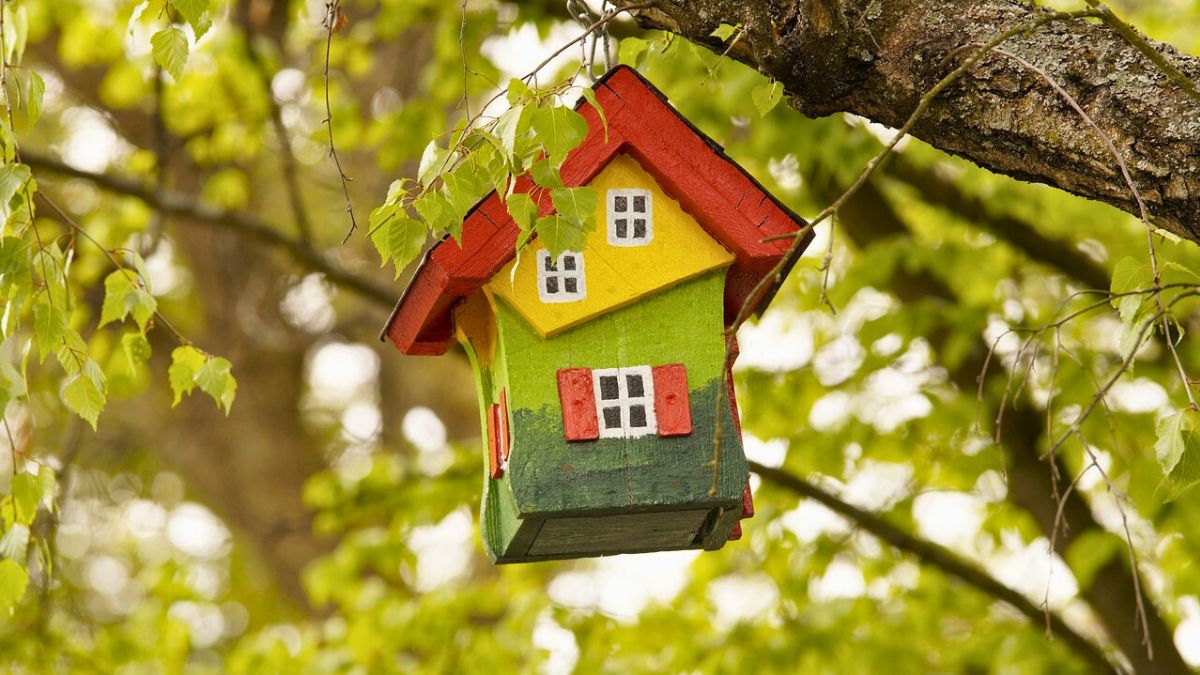 Tak pomalowany karmnik może odpychać ptaki 