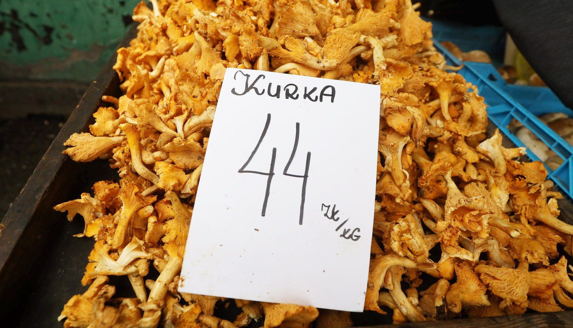 Targowisko w Dąbrowie Górniczej Ceny stroików