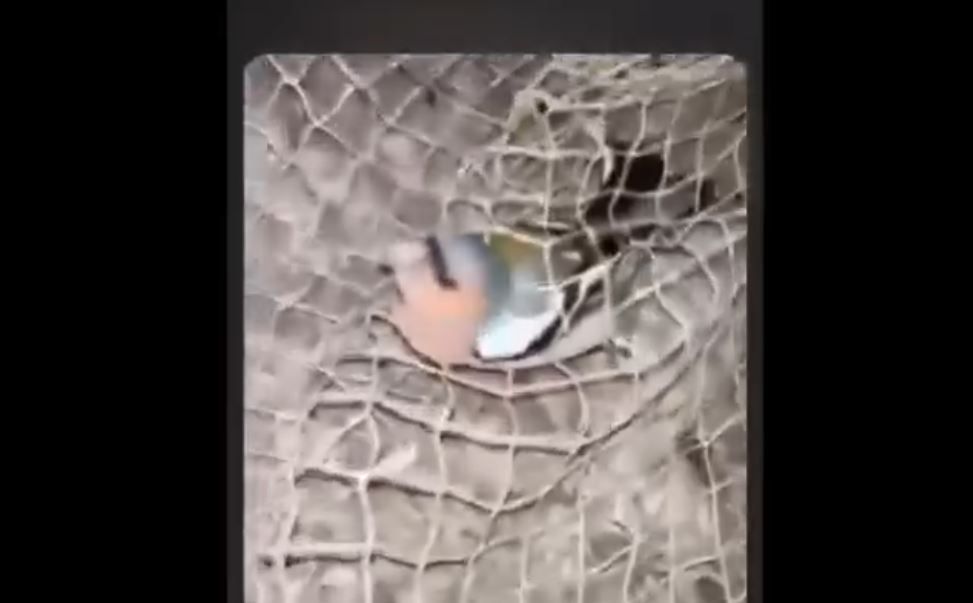 Kadr z filmiku nastolatków