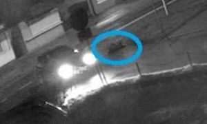 Tragedia na drodze. Nikt nie pomógł umierającemu